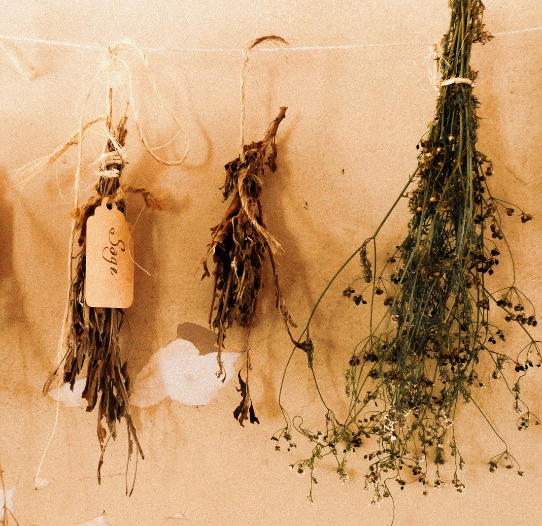 The Art of Herbalism Meets the Beauty of Craft