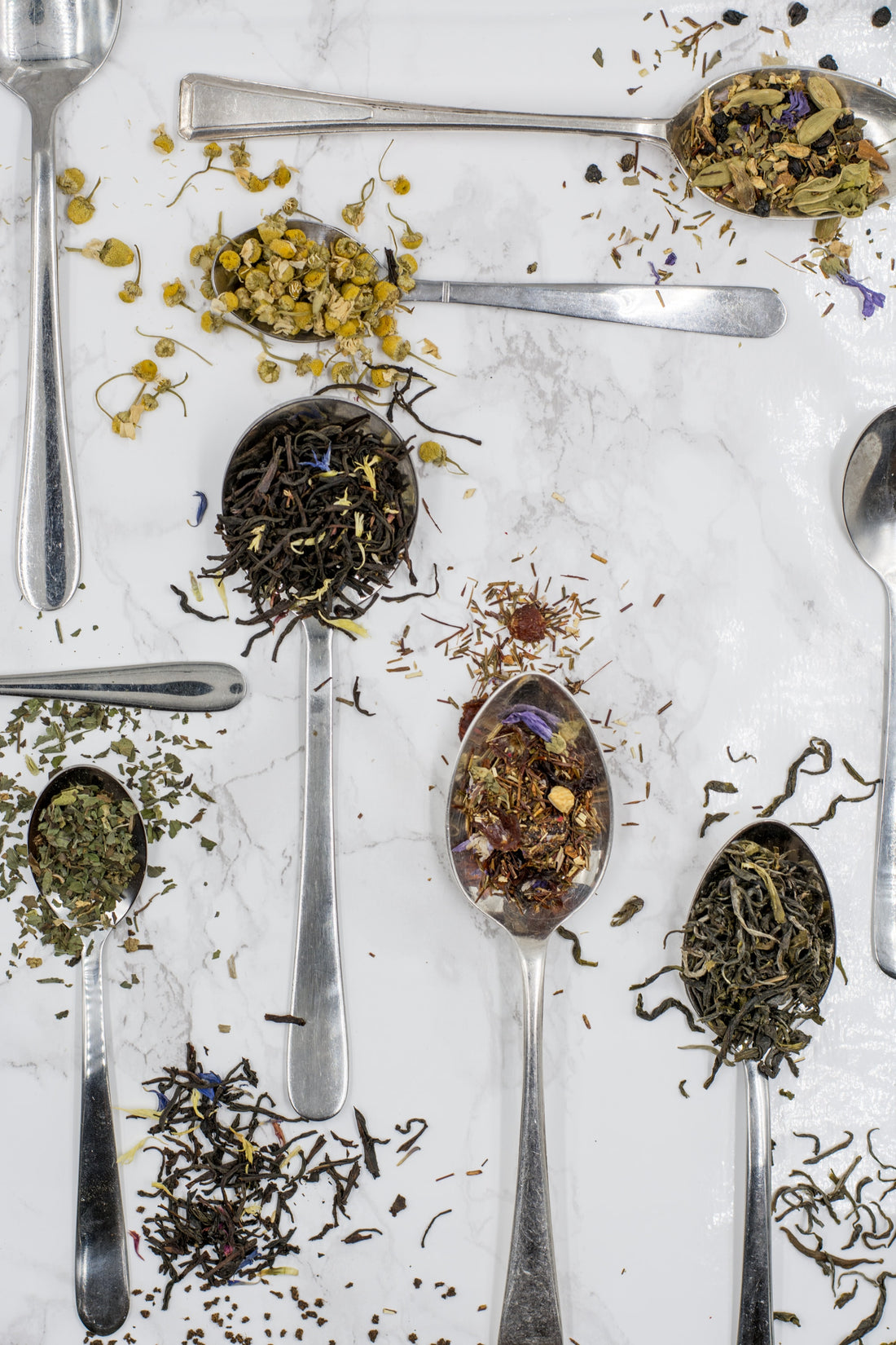 Debunking Common Myths About Herbs: Fact vs. Fiction