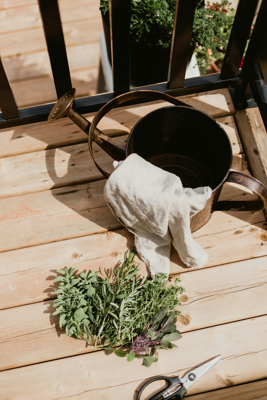 Sprouting Little Herbalists: Fun Ways to Get Your Child Engaged with Nature's Pharmacy